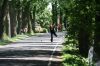 Filename=12.jpg
Filesize=85KB
Dimensions=640x427
Date added=Jun 17, 2013 12.jpg