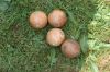Filename=20.jpg
Filesize=97KB
Dimensions=640x427
Date added=Aug 18, 2013 20.jpg