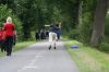 Filename=099.jpg
Filesize=65KB
Dimensions=640x427
Date added=Aug 18, 2013 099.jpg